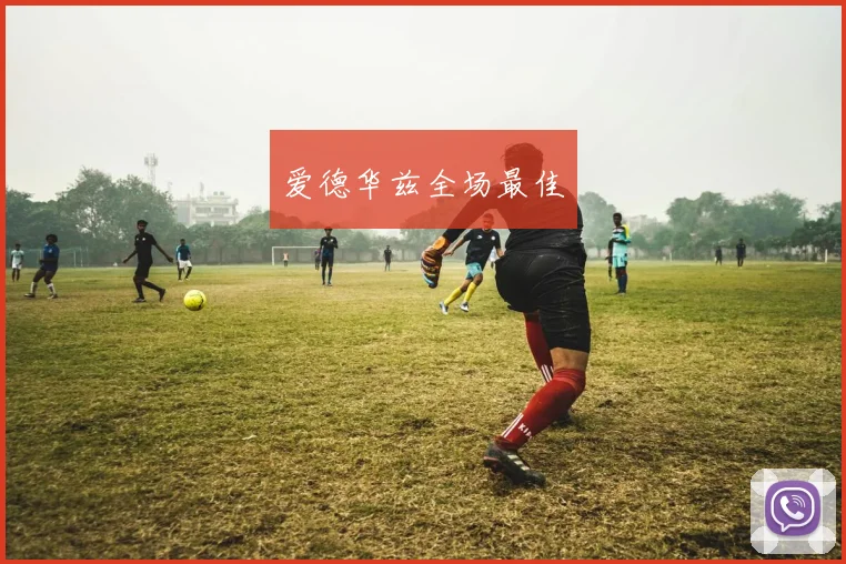 爱德华兹全场最佳