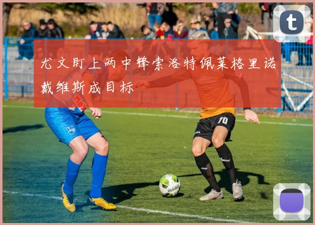 尤文盯上两中锋索洛特佩莱格里诺戴维斯成目标