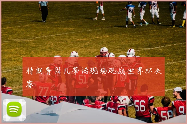 特朗普因凡蒂诺现场观战世界杯决赛